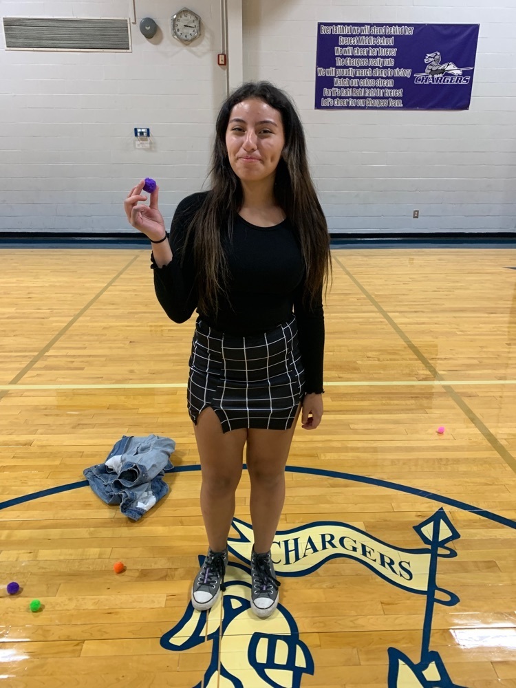 Pom Pom champion