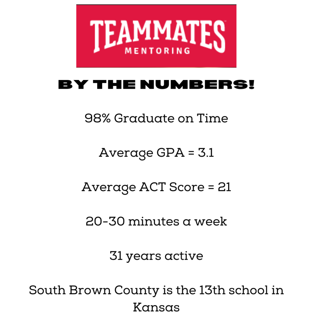 TeamMates by the Numbers