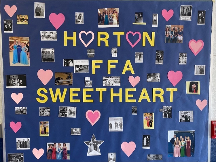 FFA Sweetheart through the years!